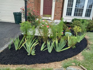 Landscaping